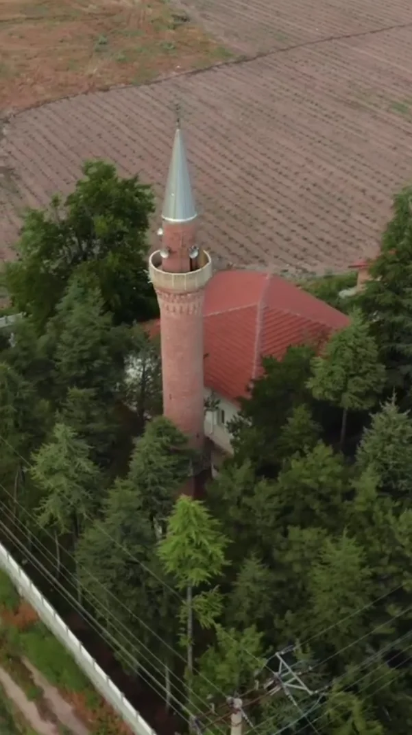 Yeşil ağaçlarla çevrili kırmızı çatılı cami ve minare manzarası