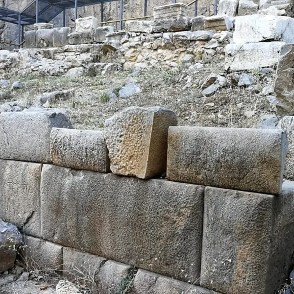 Taş bloklardan oluşan antik yapı kalıntıları ve doğal bitki örtüsü