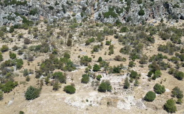 Yeşil bitki örtüsü ve tarihi kalıntılarla doğal bir manzara.