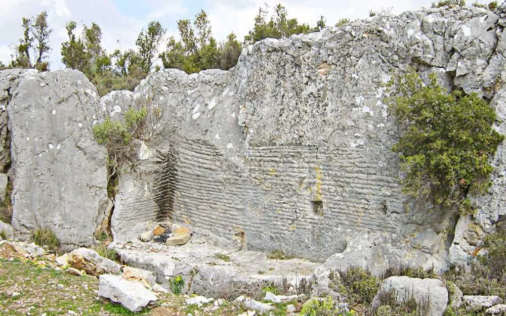 Doğal ortamda yer alan taş duvar kalıntıları ve yeşil bitki örtüsü