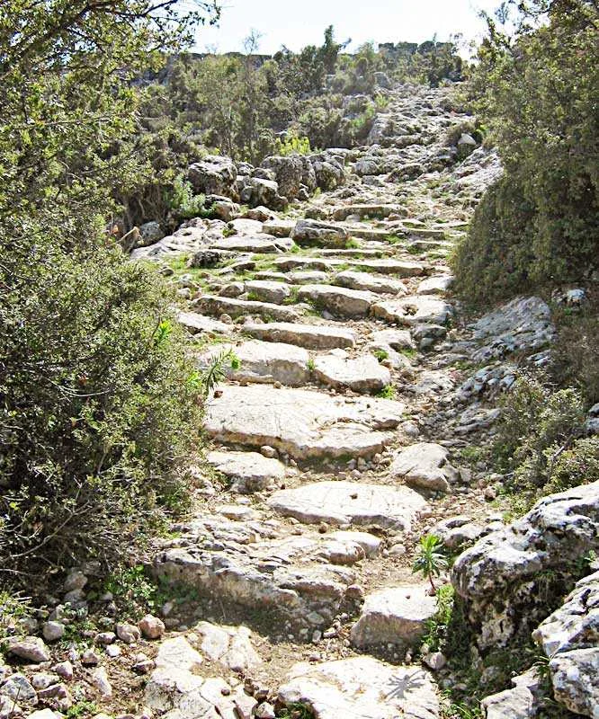 Taşlarla döşenmiş, ağaçlarla çevrili doğal bir patika yolu