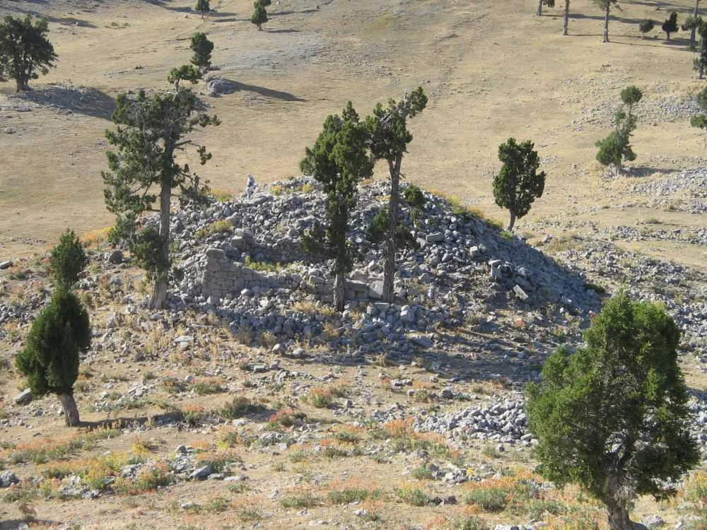 Açık alanda taşlardan oluşan bir yıkıntı ve çevresindeki ağaçlar