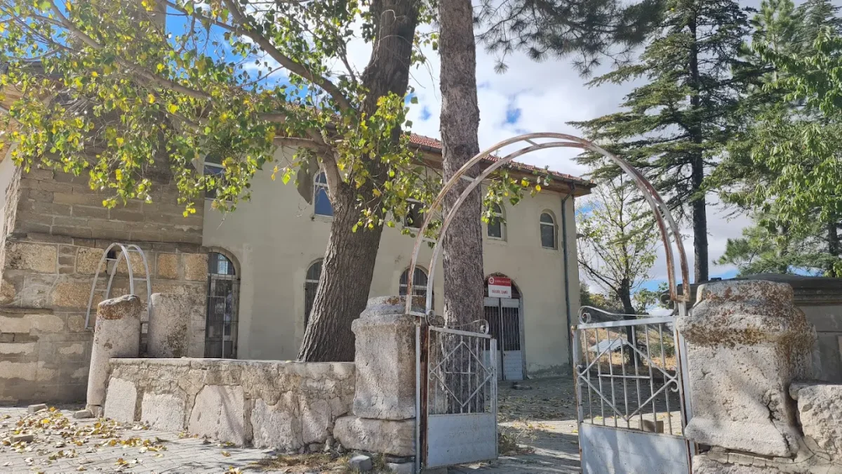 Eski taş yapının süslü giriş kapısı, açık renkli duvarlar ve ağaçlarla çevrili.