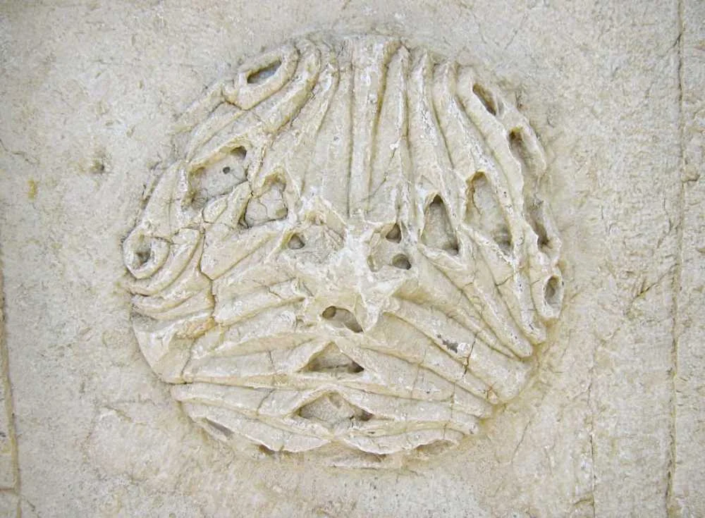 Taşın Zarif Deseni - Karmaşık desenli taş yüzeydeki doğal doku Karmaşık desenli taş yüzeydeki daire biçimindeki motif ve doğal doku