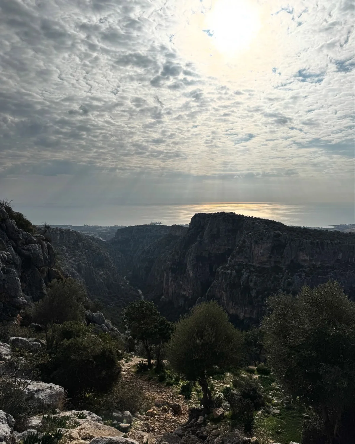 Doğanın Huzur Verici Manzarası - Dağlık Bölgede Kanyonlar ve Deniz Dağlık bir bölgede derin kanyonlar, ağaçlar ve deniz manzarası.