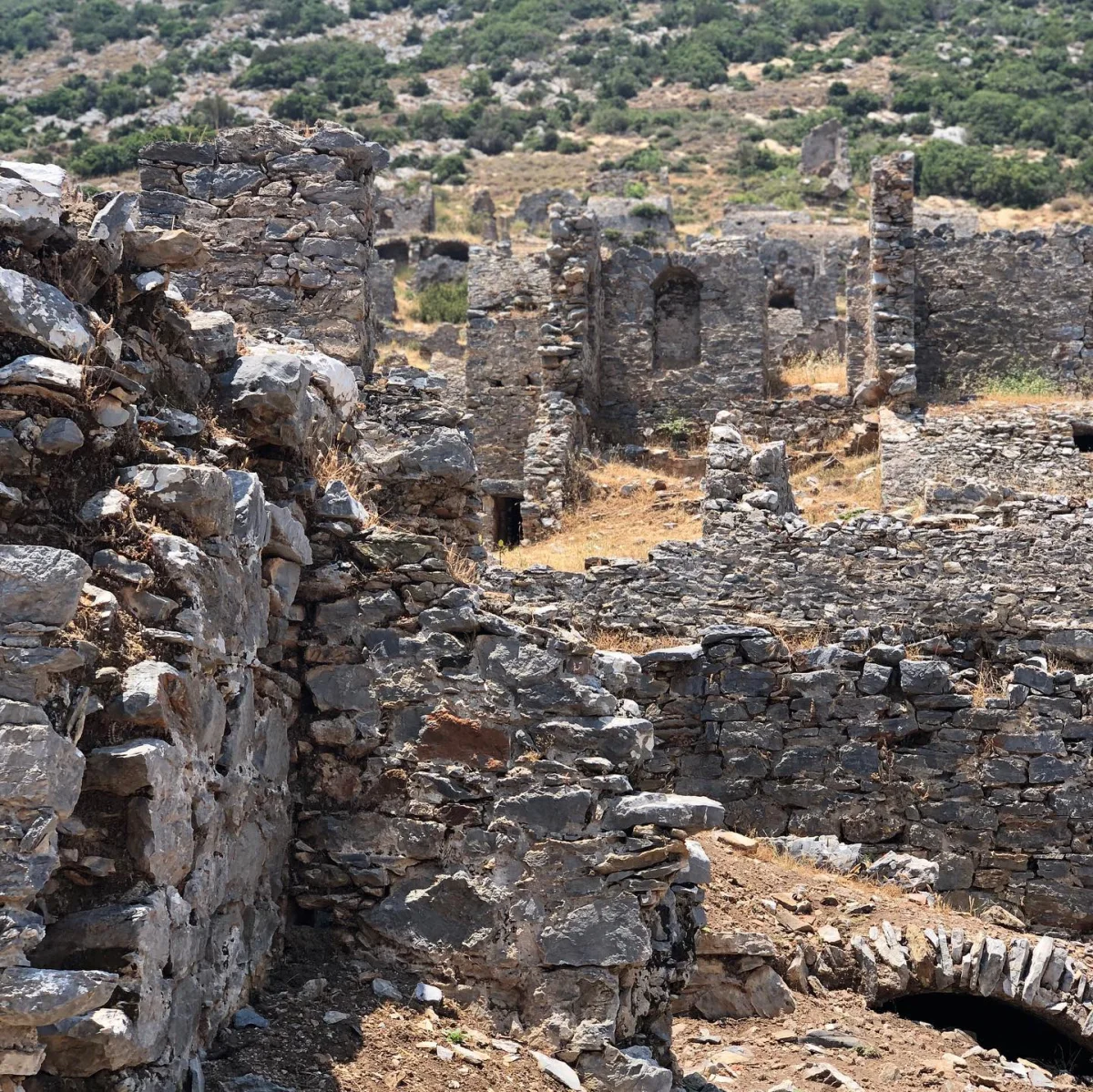 Kalıntılar ve Doğa - Tarihi taş yapılar arasında yeşillikler Tarihi taş yapılar ve doğal bitki örtüsüyle çevrili antik kalıntılar