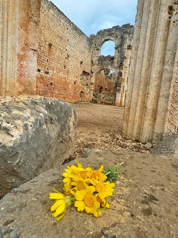 Mersin Kanlı Divane Ören Yeri: Mersin'in Obruk Çevresinde Gelişen Antik Kent Kanytella