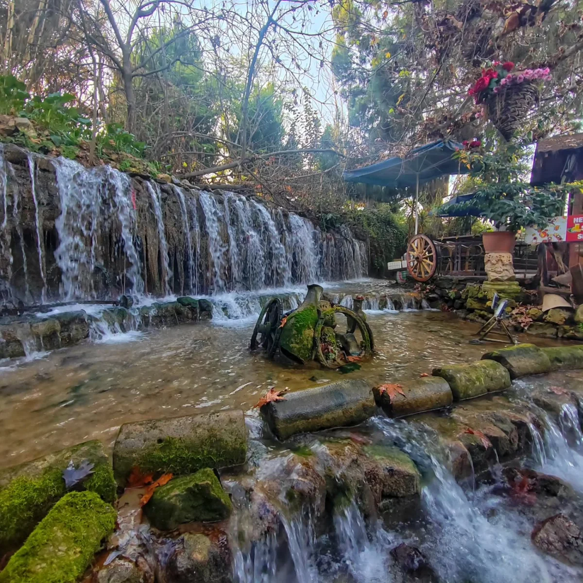 Doğanın Huzur Verici Güzelliği - Tarsus Şelalesi Tarsus şelalesinde akan su, yeşil bitkiler ve taşlarla çevrili doğal bir alan.