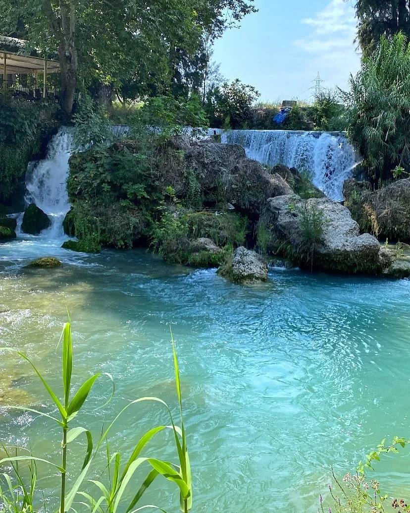 Büyüleyici Tarsus Şelalesi - Yeşil ve Berrak Yeşil ağaçlarla çevrili, berrak suya sahip iki şelale ve çevresindeki bitkiler.