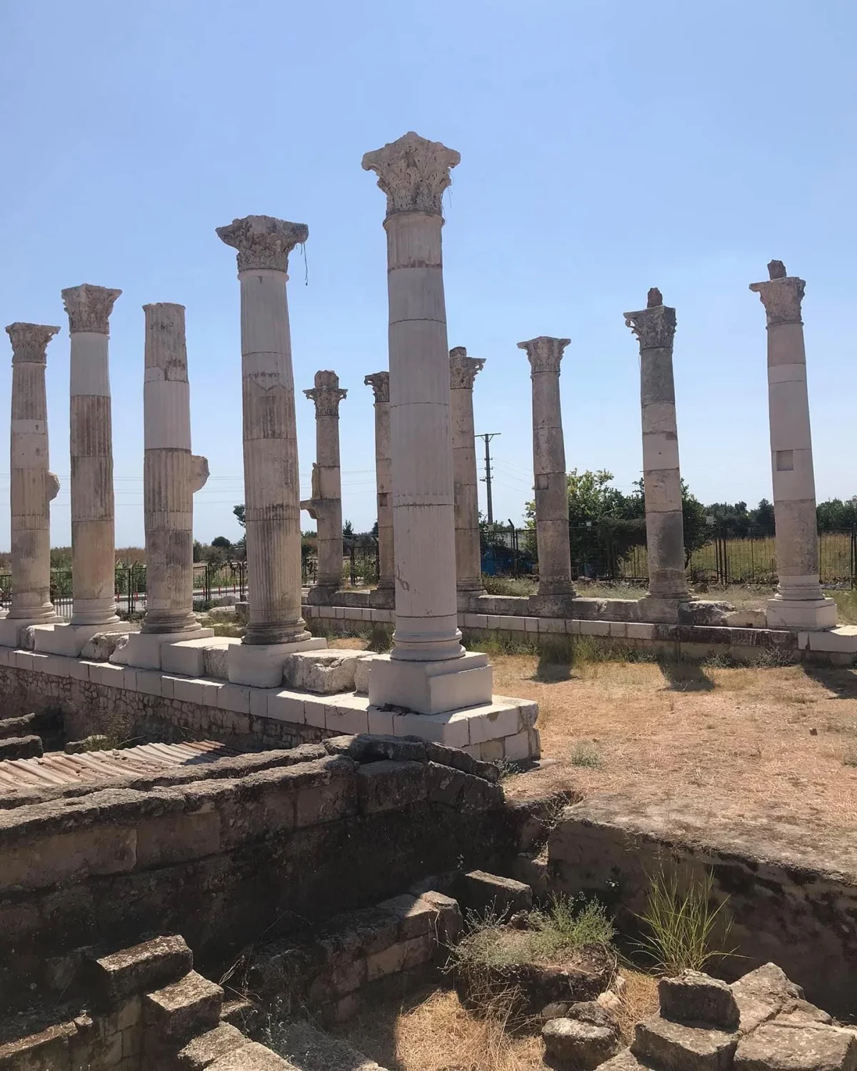 Soli Pompeipolis Antik Kenti: Tarihin İzinde On iki sütun dizisi ile çevrili antik alan, yeşil bitki örtüsü ve mavi gökyüzüyle tarihi güzellik sunuyor.