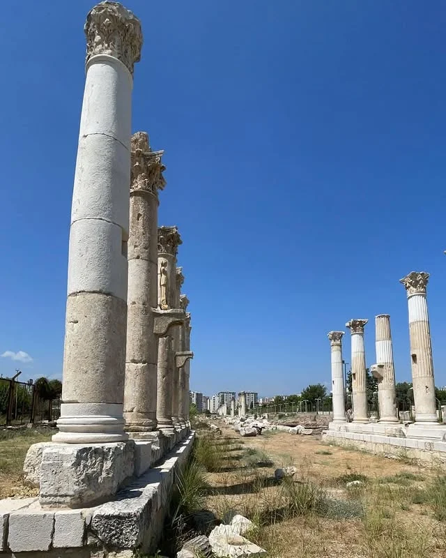 Soli Pompeipolis Antik Kenti'nin Tarihi Kalıntıları Tarihi sütunlar ve yeşil otlarla dolu kalıntı alanı, açık mavi gökyüzü altında
