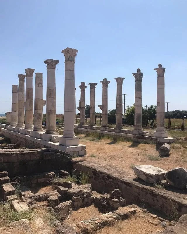 Soli Pompeipolis Antik Kenti'nin Büyüleyici Kalıntıları Antik sütunlardan oluşan yapı kalıntısı, mavi gökyüzü ve doğal bitki örtüsü ile çevrili.