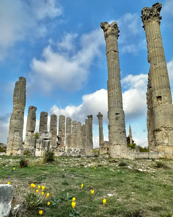 Uzuncaburç'taki antik kalıntılar, silindirik sütunlar ve yeşil alan