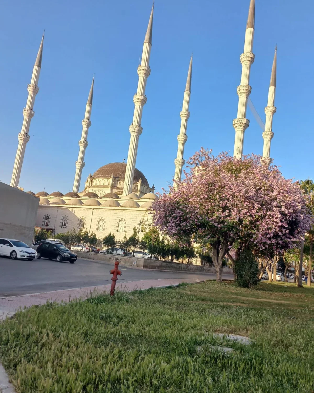 Huzur Veren Muğdat Camii - Zarif Mimari ve Doğanın Uyumu! Yüksek minareleri ve zarif kubbeleriyle Muğdat Camii, yeşil alan ve mavi gökyüzüyle çevrili.