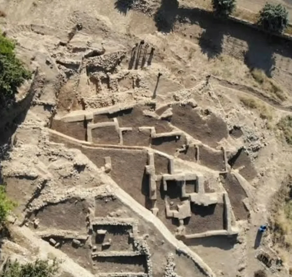 Yumuktepe'nin Gizemleri - Arkeolojik Kazı Alanında Tarih ve Doğa! Geniş arkeolojik kazı alanında taş kalıntılar ve doğal bitki örtüsü.