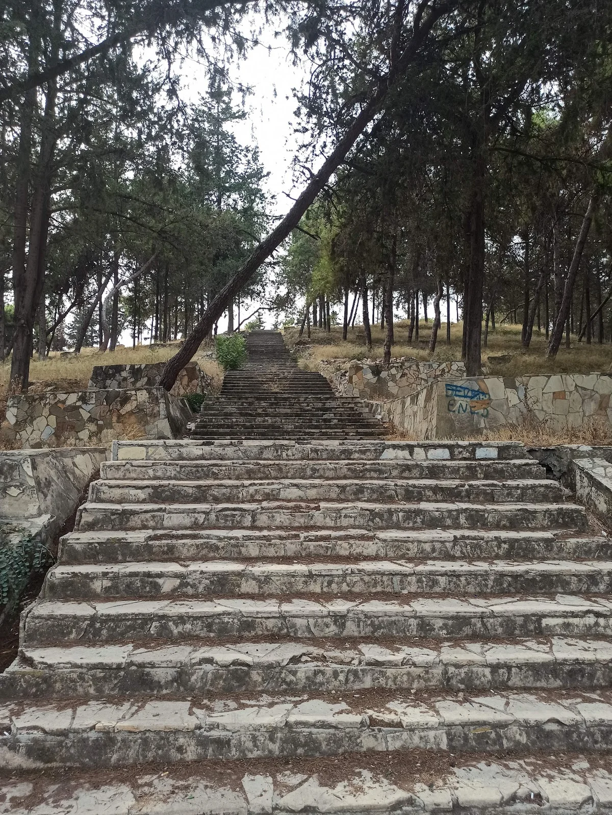 Yumuktepe'nin Huzur Dolu Doğası - Taş Merdivenler ve Yeşillikler! Ağaçlarla çevrili alanda taş merdivenler ve doğal atmosfer.