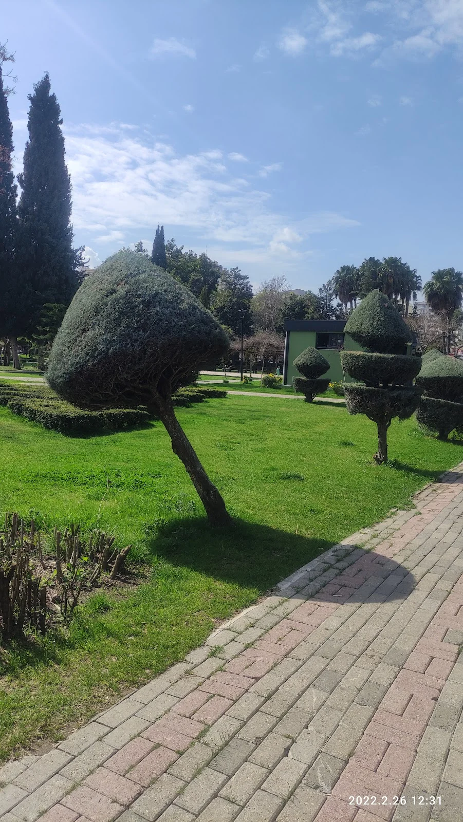 Huzurlu Park Manzarası - Silifke Taş Köprü Yeşil parkta budanmış ağaçlar, yürüyüş yolu ve hafif bulutlu gökyüzü.