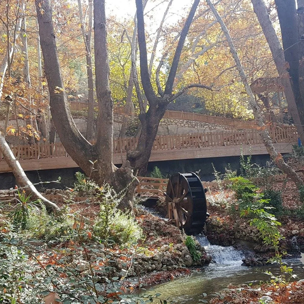 Mersin Karaekşi Mesire Alanı: Mut'un Doğal Cennet Köşesi Rehberi