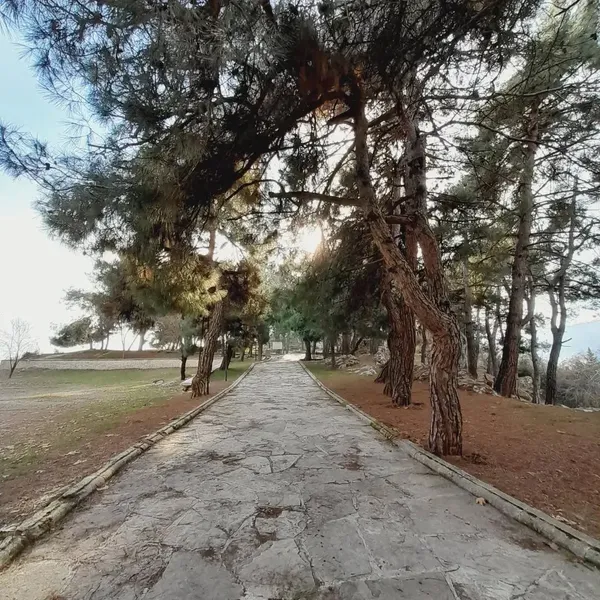 Mersin Gözne Kalesi: Mersin'in Toros Dağları'ndaki Ortaçağ Hazinesi Rehberi
