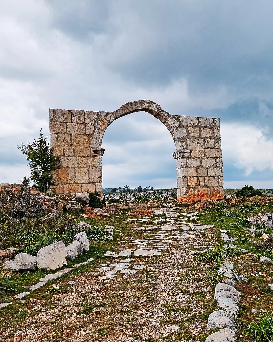 Mersin Roma Yolu: Tarsus'un Antik Kilikya Caddelerinin Sanat Tarihi Analizi