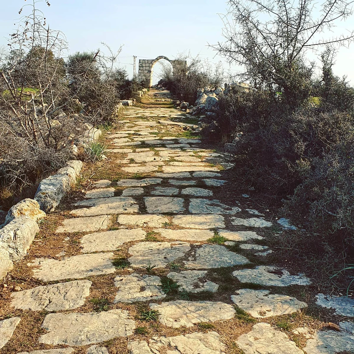 Mersin Roma Yolu: Tarsus'un Antik Çağ'dan Günümüze Ulaşan Tarihi Yol Ağı