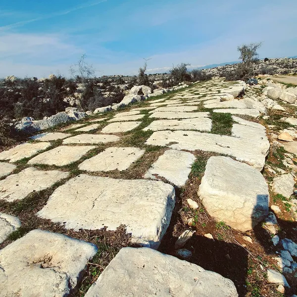 Mersin Roma Yolu: Tarsus'un Antik Ulaşım Ağının Arkeolojik İzleri