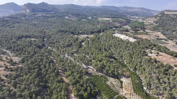 Mersin Emirler Orman Parkı: Mersin'in Doğa ve Tarih Buluşan Piknik Cenneti
