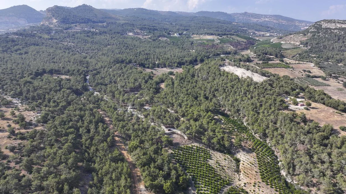 Mersin Emirler Orman Parkı: Mersin'in Arkeolojik Hazinelerini Barındıran Kent Ormanı