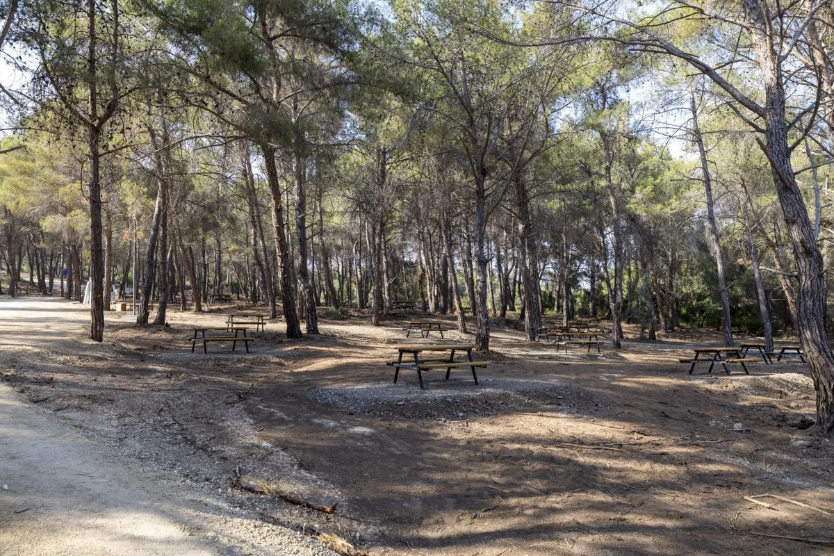Mersin Emirler Orman Parkı: Mersin'in Çam Ormanlarında Ekolojik Yaşam Alanı