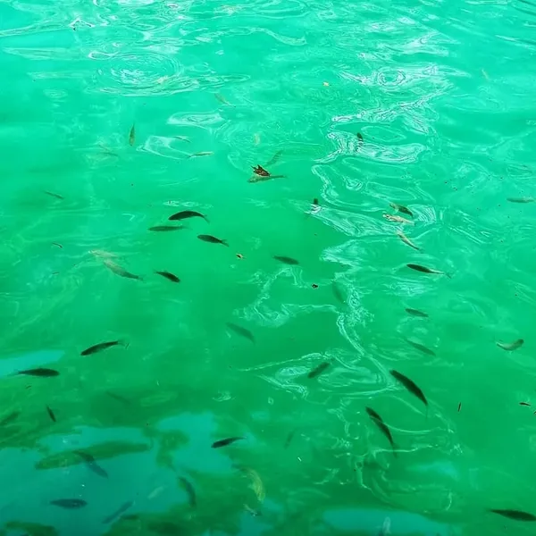 Antalya Uçansu Şelalesi: Serik'nın Karstik Mucizesi