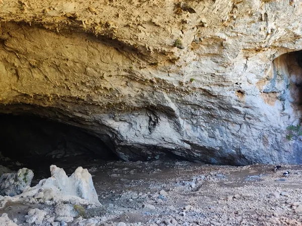 Geniş mağara girişi ve çevresindeki doğal yapılar, yeşil bitkiler ve küçük hayvanlar.