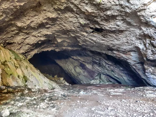 Geniş mağaranın iç kısmında doğal taşlar ve bitkiler yer alıyor.