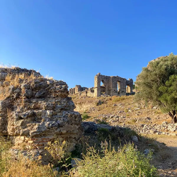 Açık mavi gökyüzü altında antik kalıntılar ve doğal bitki örtüsü.