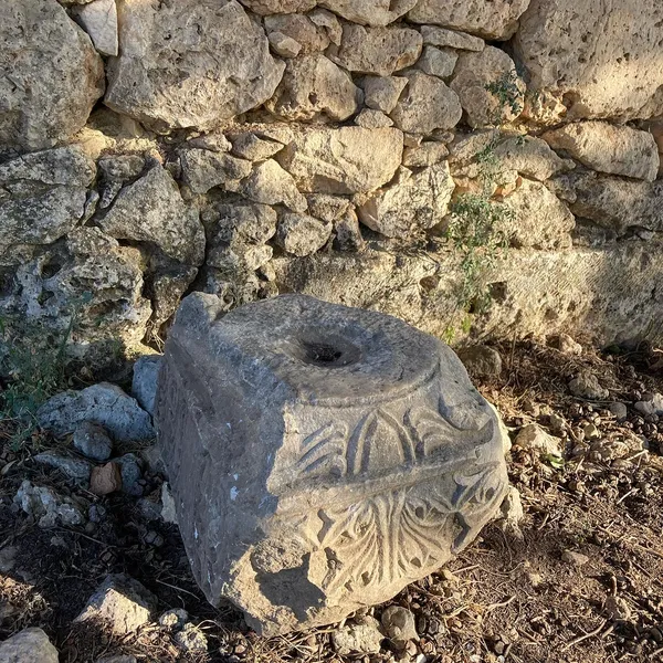 Sillyon antik kentinde bitki motifleriyle süslenmiş taş blok ve arka planda taş duvar.