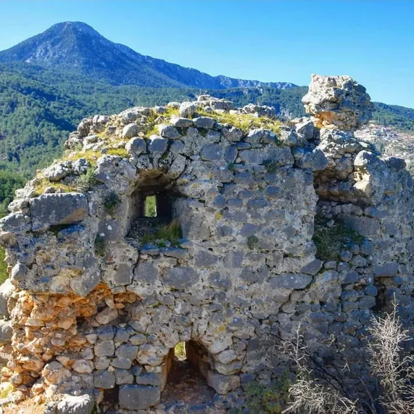 Yıkılmış taş duvarlarla çevrili tarihi kalıntılar ve yeşil doğa manzarası.