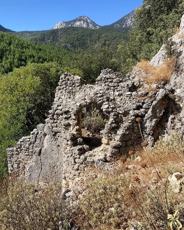 Yeşil ormanla çevrili, tarihi taş kalıntılarıyla dolu bir alan.