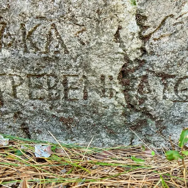 Taş üzerindeki eski yazıtlar, doğal bitki örtüsü ile çevrili.