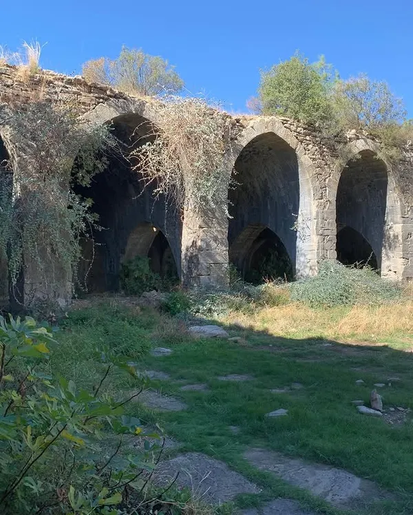 Taş yapılar arasında büyüyen bitki örtüsü ve kemer yapılarla kaplı tarihi alan.