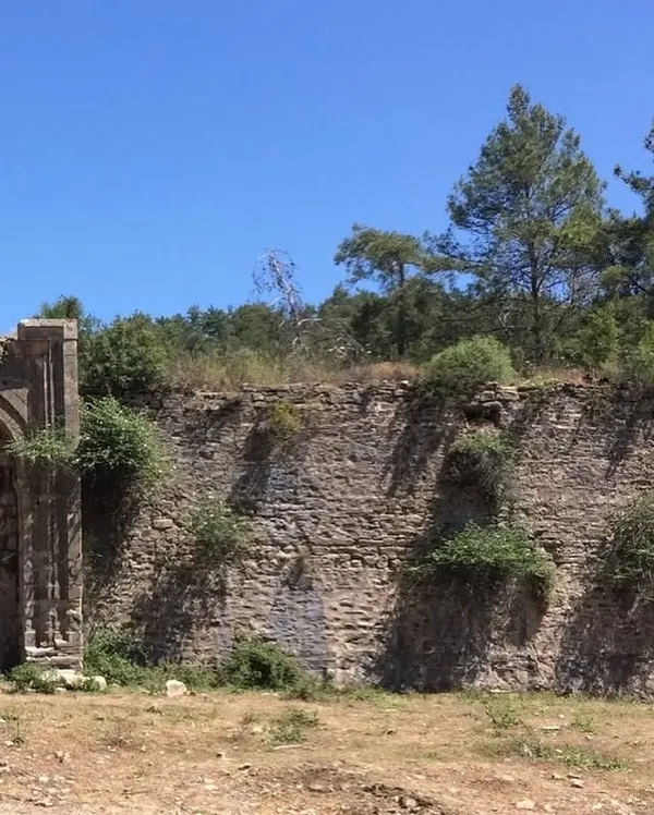 Taşlardan yapılmış tarihi yapının kalıntıları ve yeşil ağaçlarla kaplı tepe