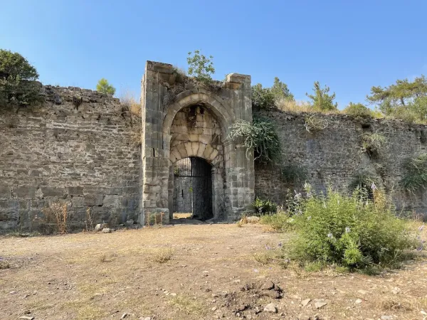 Tarihi kapı ve taş duvarları, aşınmış görünümüyle doğayla etkileşimde.