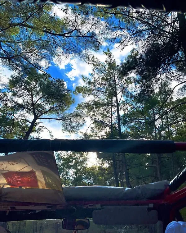 Antalya Tazı Kanyonu: Manavgat'ın Konglomera Kaya Şaheseri